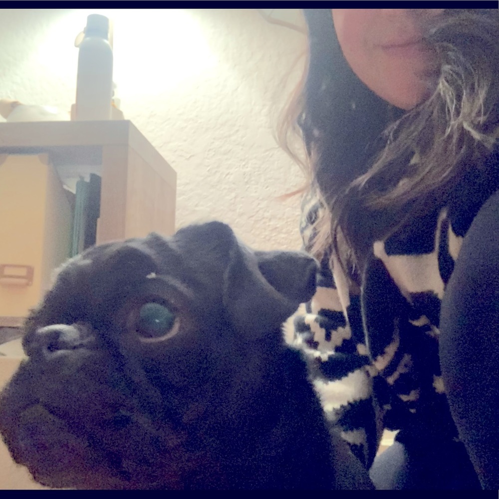 Meet your Posher, Lucy